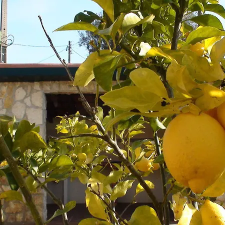 Quinta Do Ribeirinho Vilar da Mó