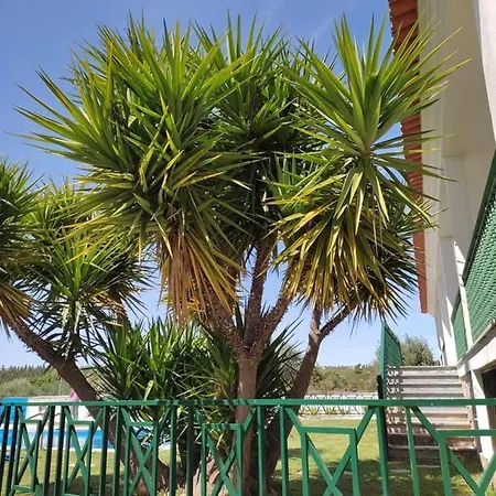 Pensión Quinta Do Ribeirinho 2*