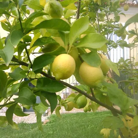 Quinta Do Ribeirinho Vilar da Mó