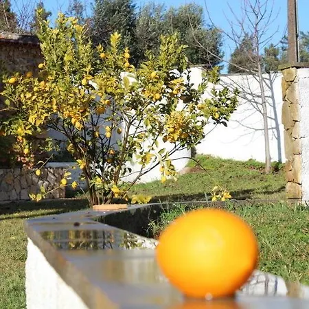 Quinta Do Ribeirinho بيت ضيافة 2*