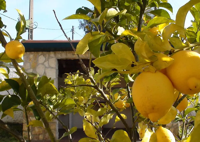 Quinta Do Ribeirinho Vilar da Mó
