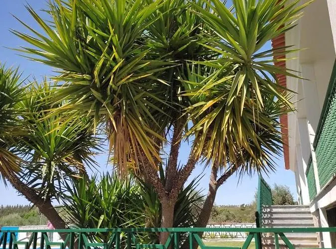 Casa de hóspedes Quinta Do Ribeirinho 2*