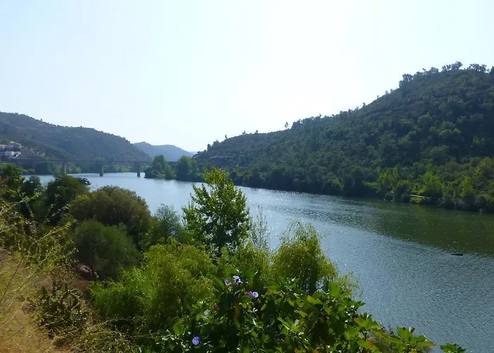 Quinta Do Ribeirinho Casa de hóspedes 2*