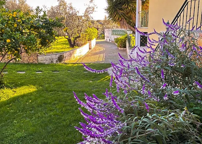 Quinta Do Ribeirinho Guest house Vilar da Mo