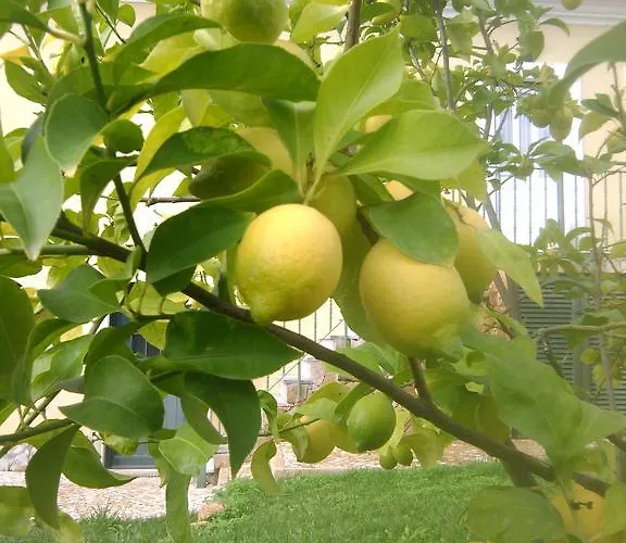Quinta Do Ribeirinho Vilar da Mó
