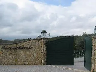 Quinta Do Ribeirinho